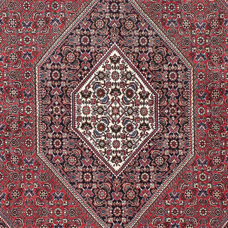 Bidjar Tapete 215x148cm - Tapete persa