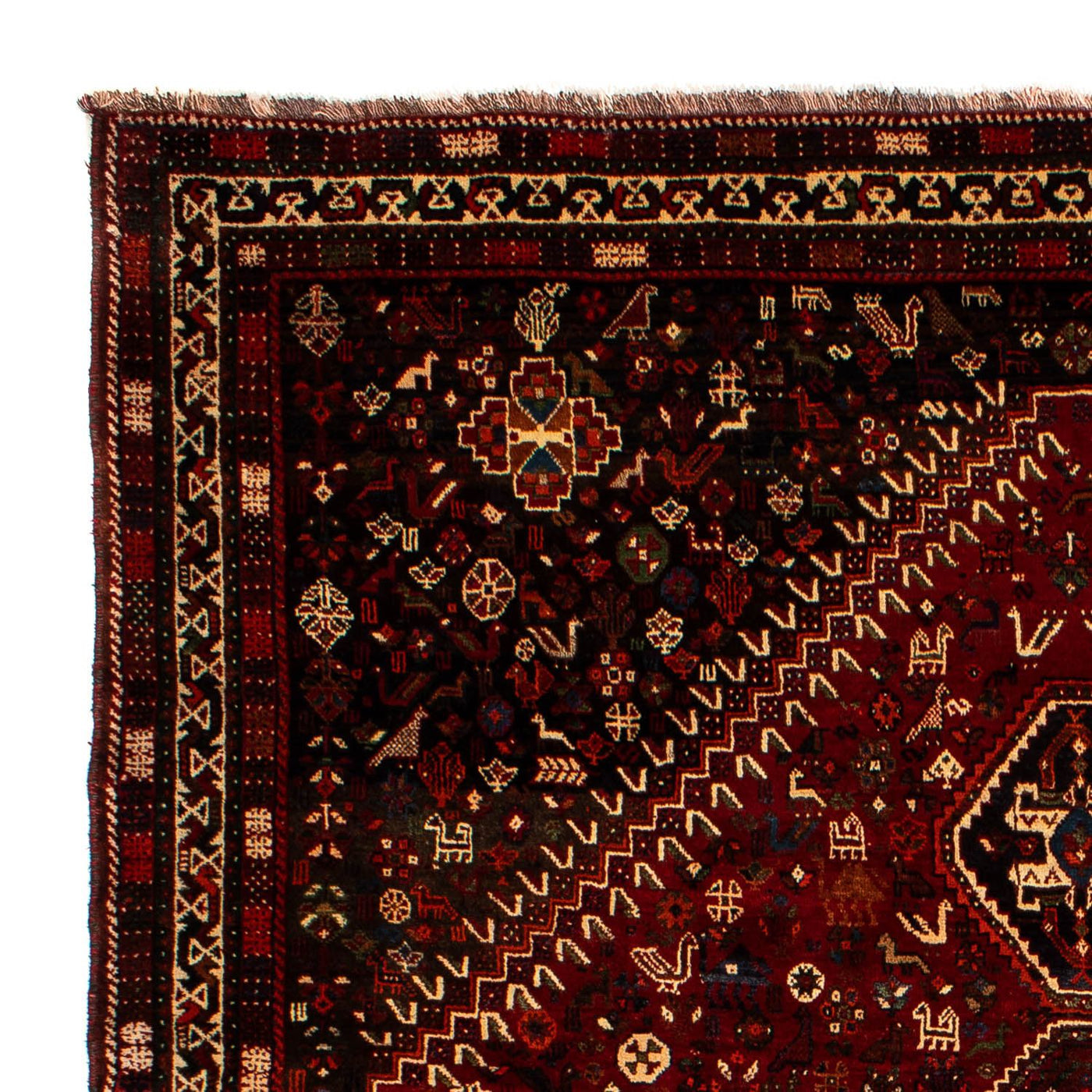Shiraz Tapete 310x228cm - Tapete persa
