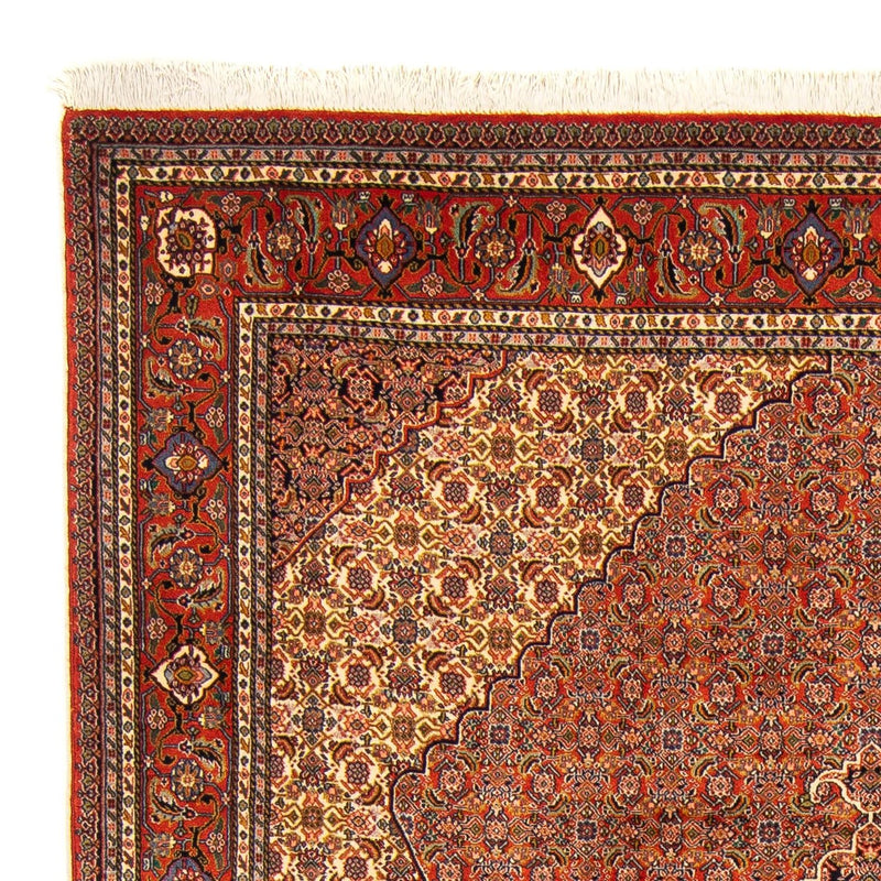 Sarab Tapete 262x182cm - Tapete persa