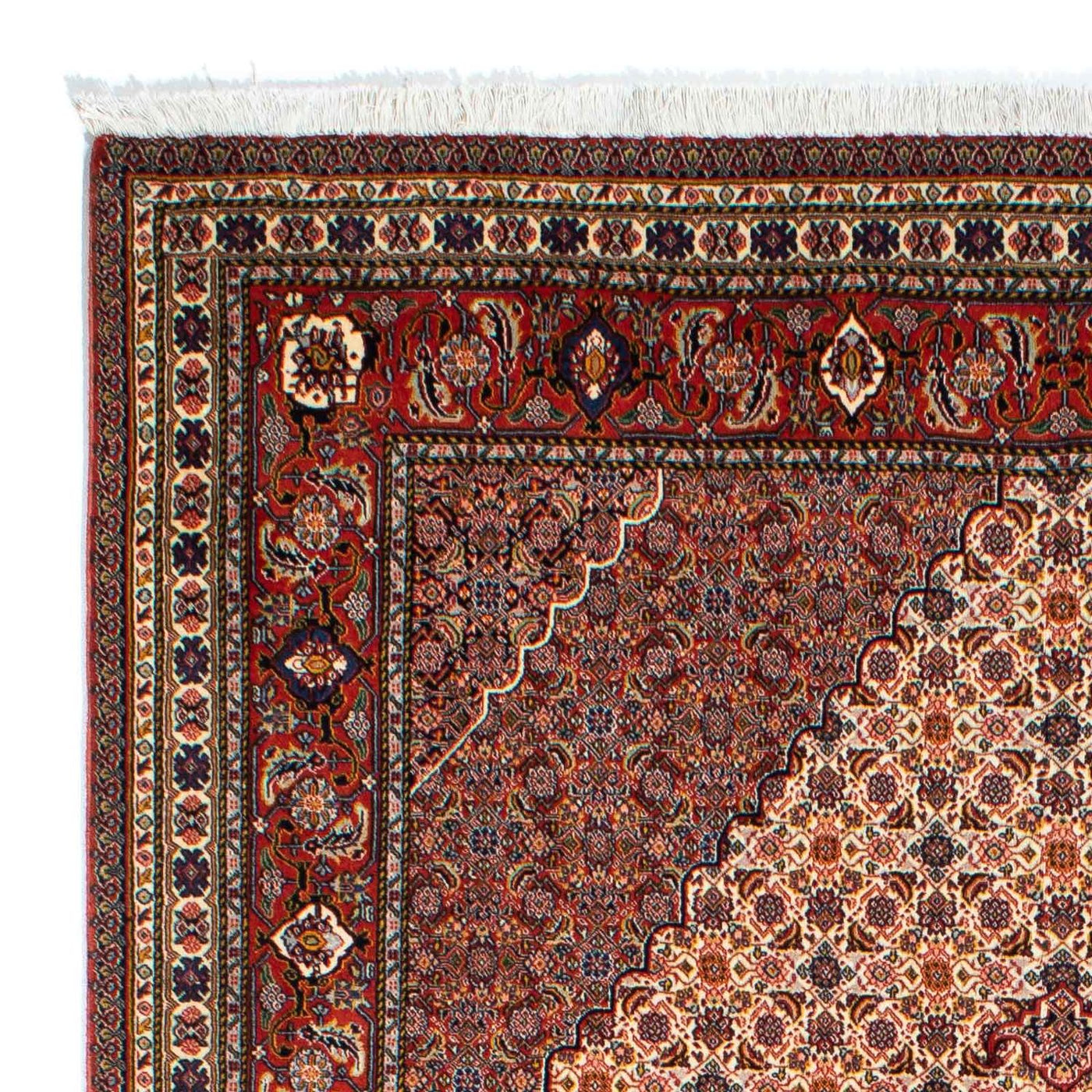 Sarab Tapete 262x167cm - Tapete persa