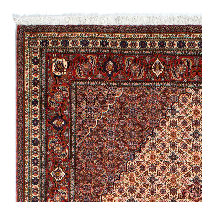 Sarab Tapete 262x167cm - Tapete persa