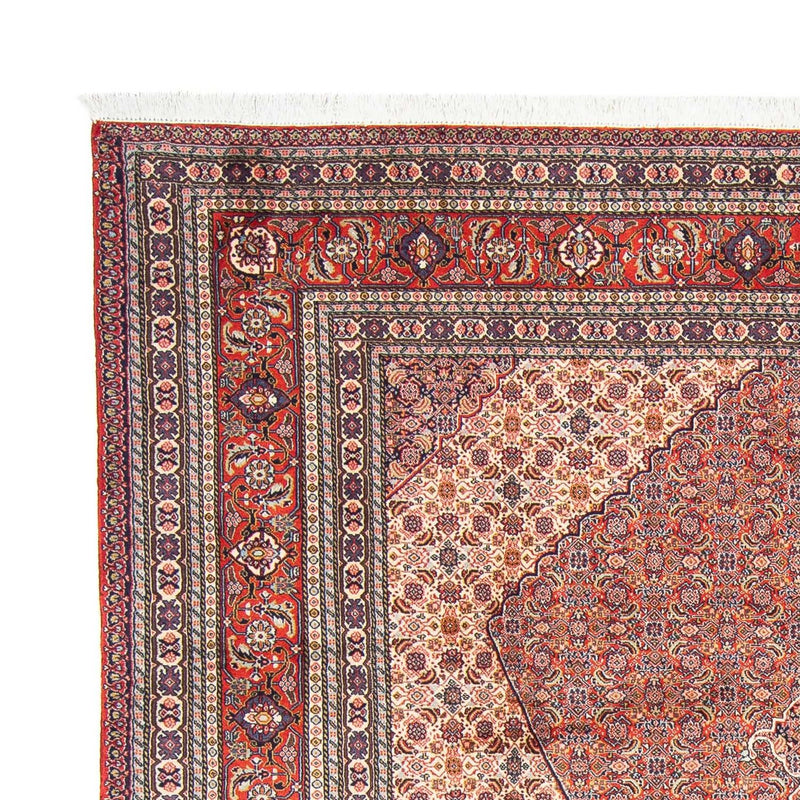 Sarab Tapete 293x204cm - Tapete persa