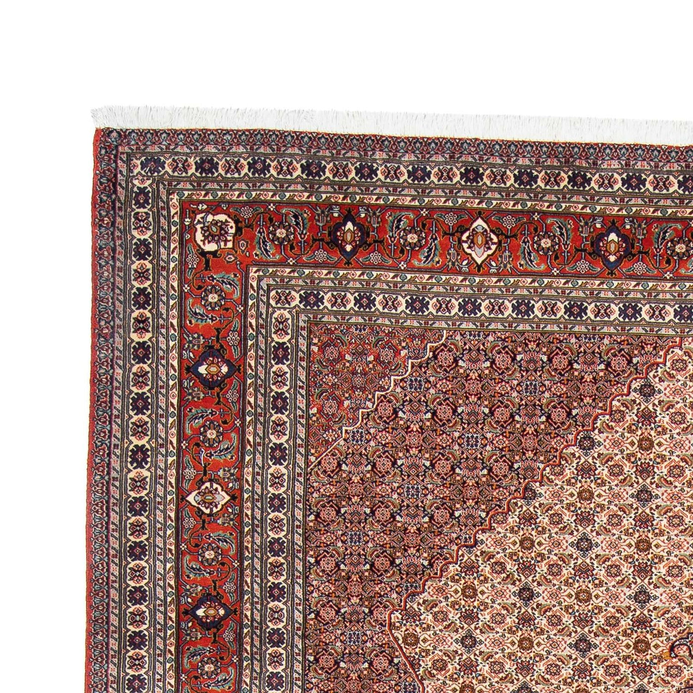 Sarab Tapete 313x212cm - Tapete persa
