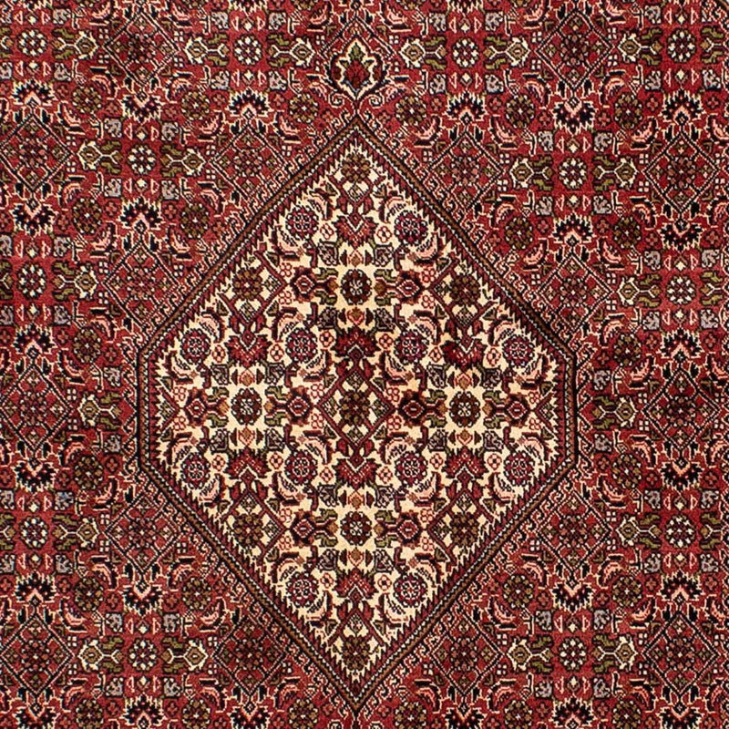 Bidjar Tapete 235x140cm - Tapete persa