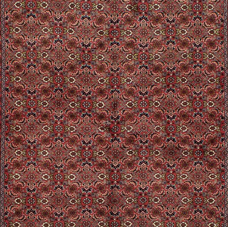 Bidjar Tapete 246x170cm - Tapete persa