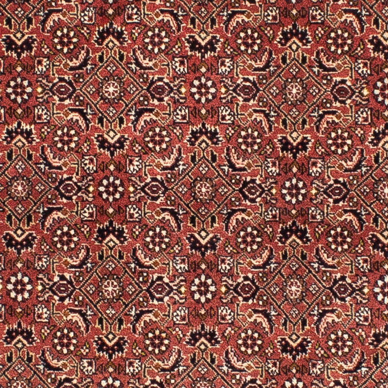 Bidjar Tapete 195x200cm - Tapete persa