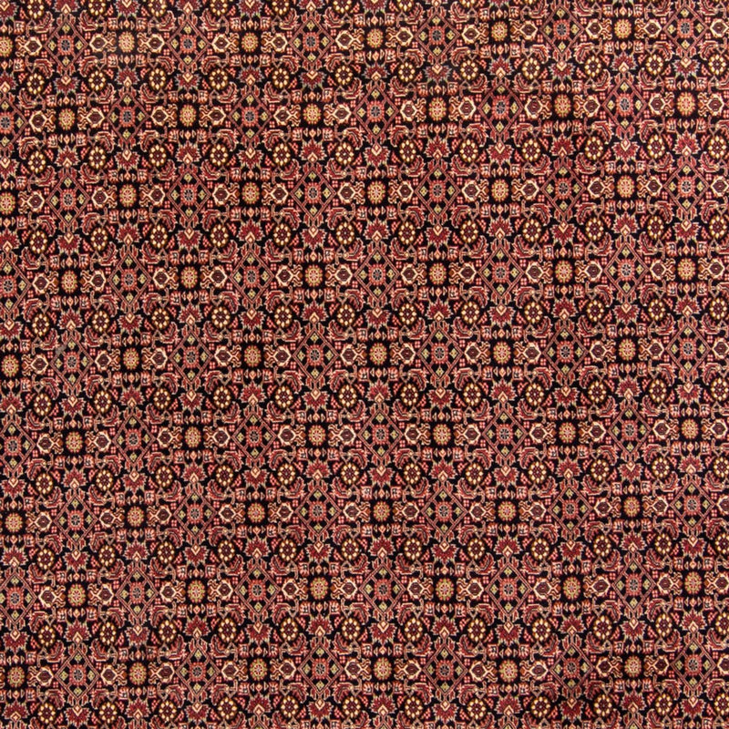 Bidjar Tapete 254x343cm - Tapete persa
