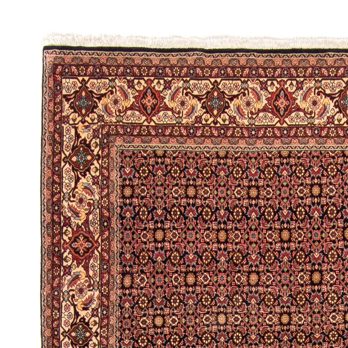 Bidjar Tapete 254x343cm - Tapete persa