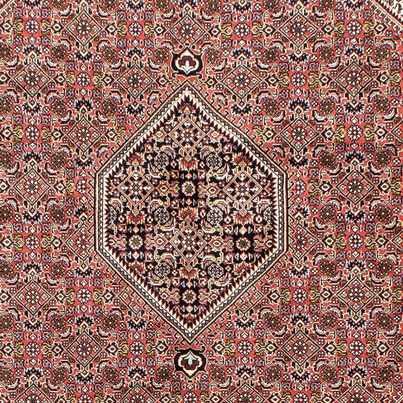Bidjar Tapete 168x250cm - Tapete persa
