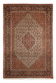 Bidjar Tapete 297x202cm - Tapete persa