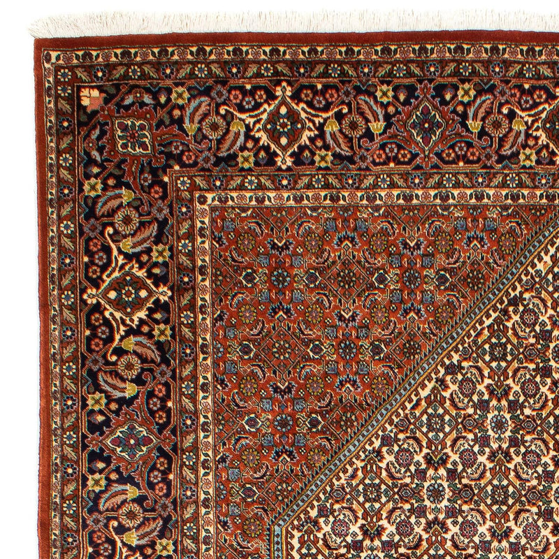 Bidjar Tapete 297x202cm - Tapete persa
