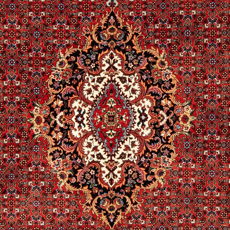 Bidjar Tapete 242x168cm - Tapete persa