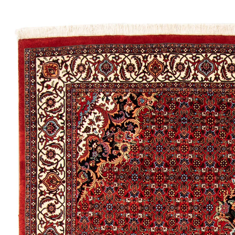 Bidjar Tapete 242x168cm - Tapete persa