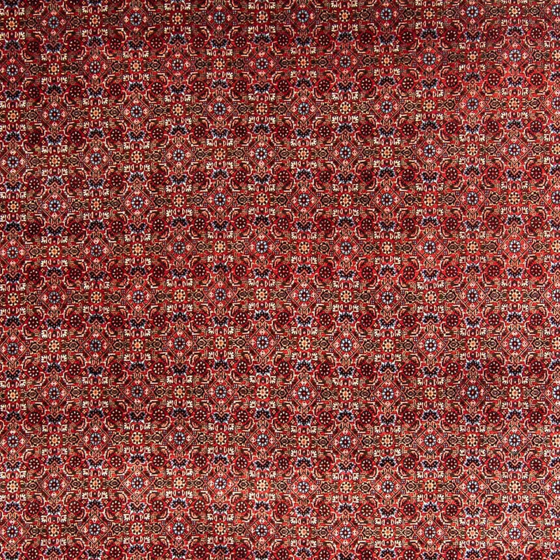 Bidjar Tapete 350x250cm - Tapete persa