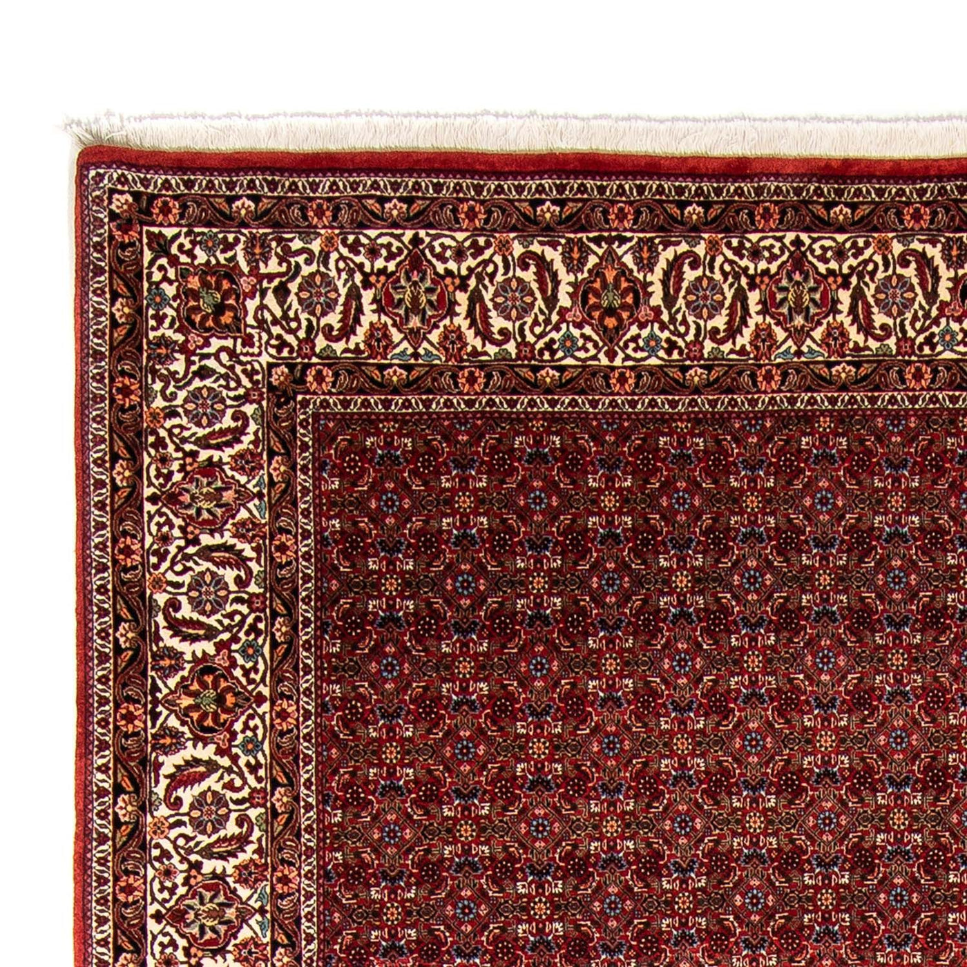 Bidjar Tapete 350x250cm - Tapete persa