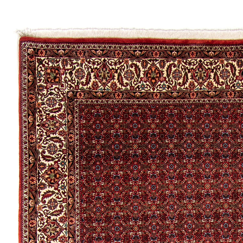 Bidjar Tapete 350x250cm - Tapete persa