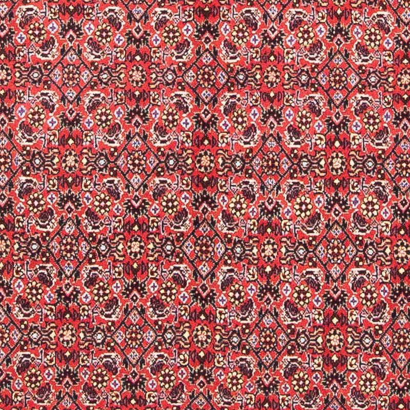 Bidjar Tapete 104x98cm - Tapete persa