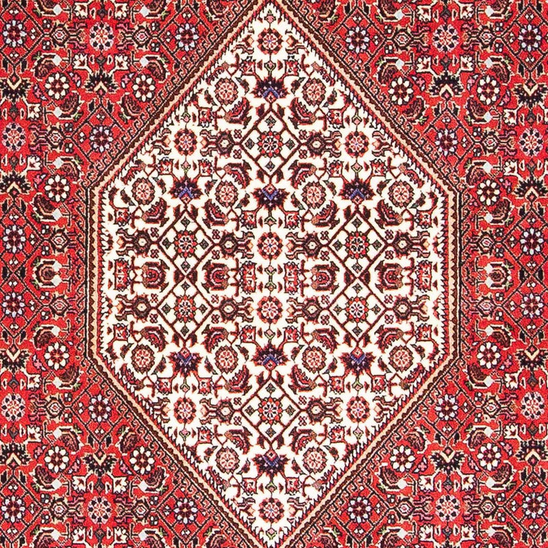 Bidjar Tapete 175x108cm - Tapete persa