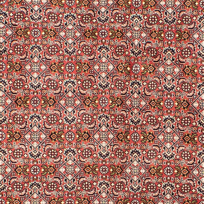 Bidjar Tapete 215x136cm - Tapete persa