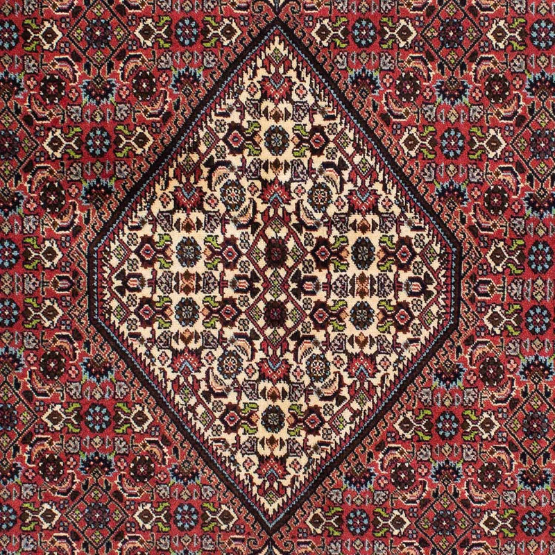 Bidjar - Zanjan Tapete 225x141cm - Tapete persa