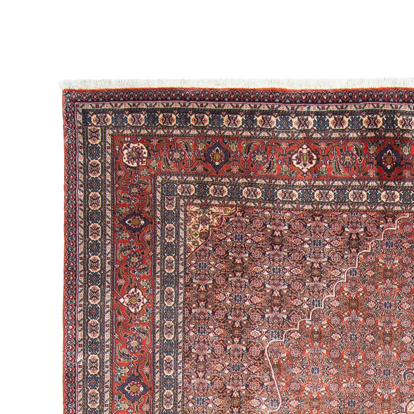 Sarab Tapete 294x200cm - Tapete persa