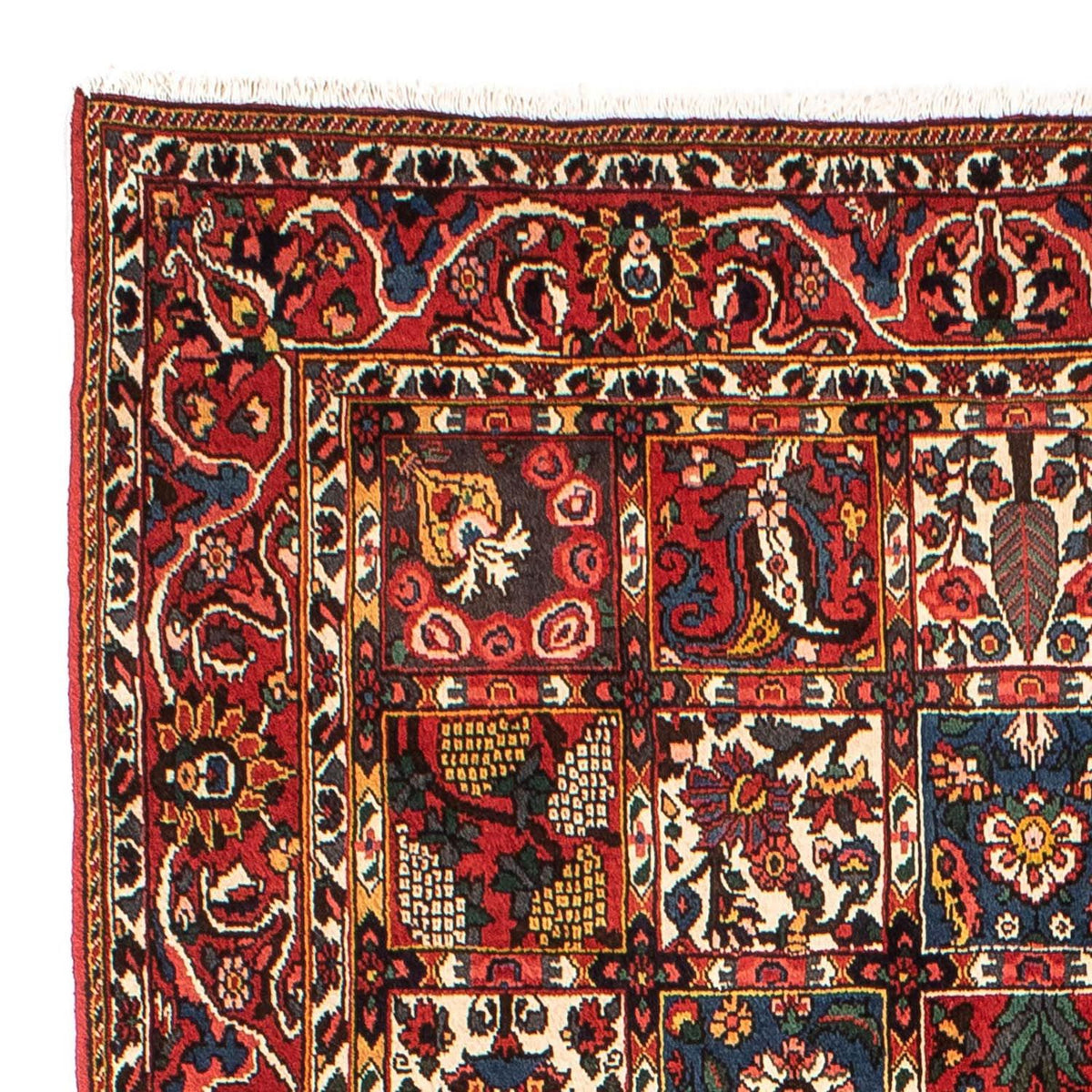 Bakhtiari Tapete 161x246cm - Tapete persa