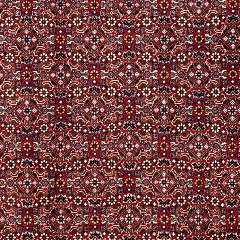 Bidjar - Takab Tapete 340x252cm - Tapete persa