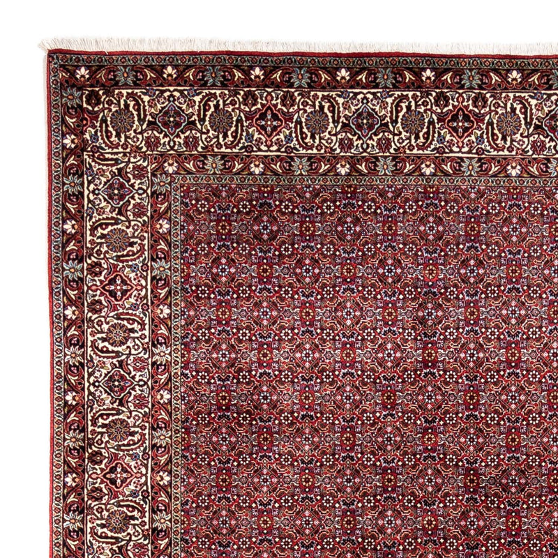 Bidjar - Takab Tapete 340x252cm - Tapete persa