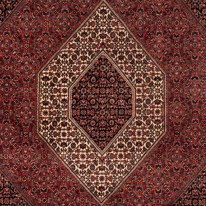 Bidjar Tapete 259x201cm - Tapete persa