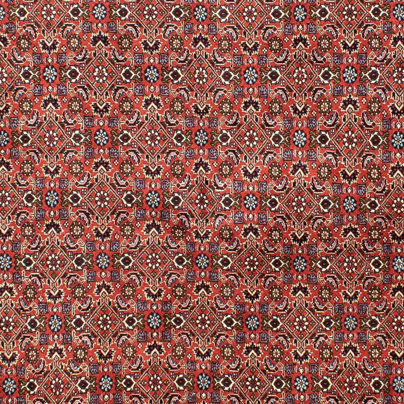 Bidjar Tapete 202x288cm - Tapete persa