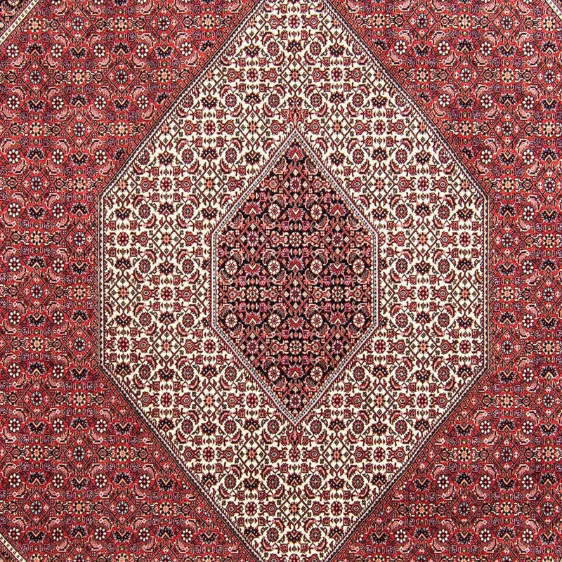 Bidjar Tapete 295x253cm - Tapete persa