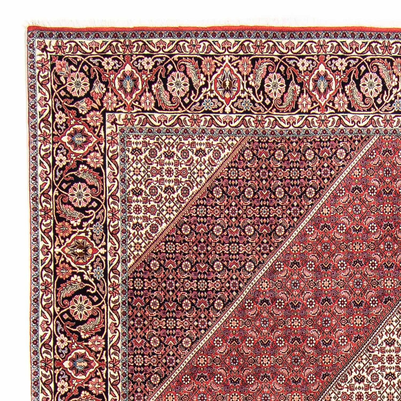 Bidjar Tapete 295x253cm - Tapete persa