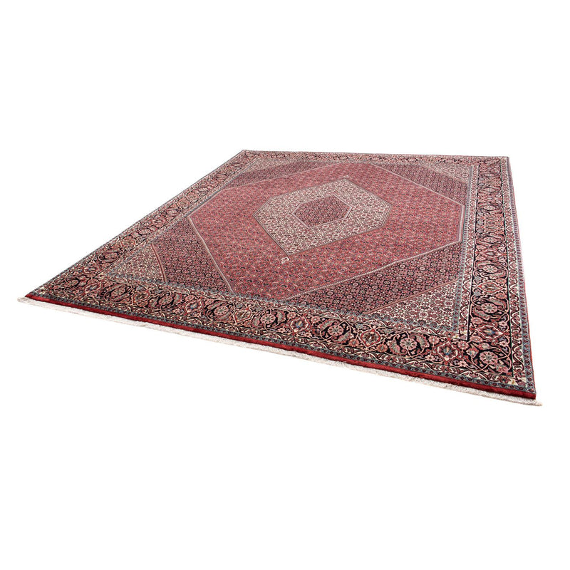 Bidjar Tapete 295x253cm - Tapete persa