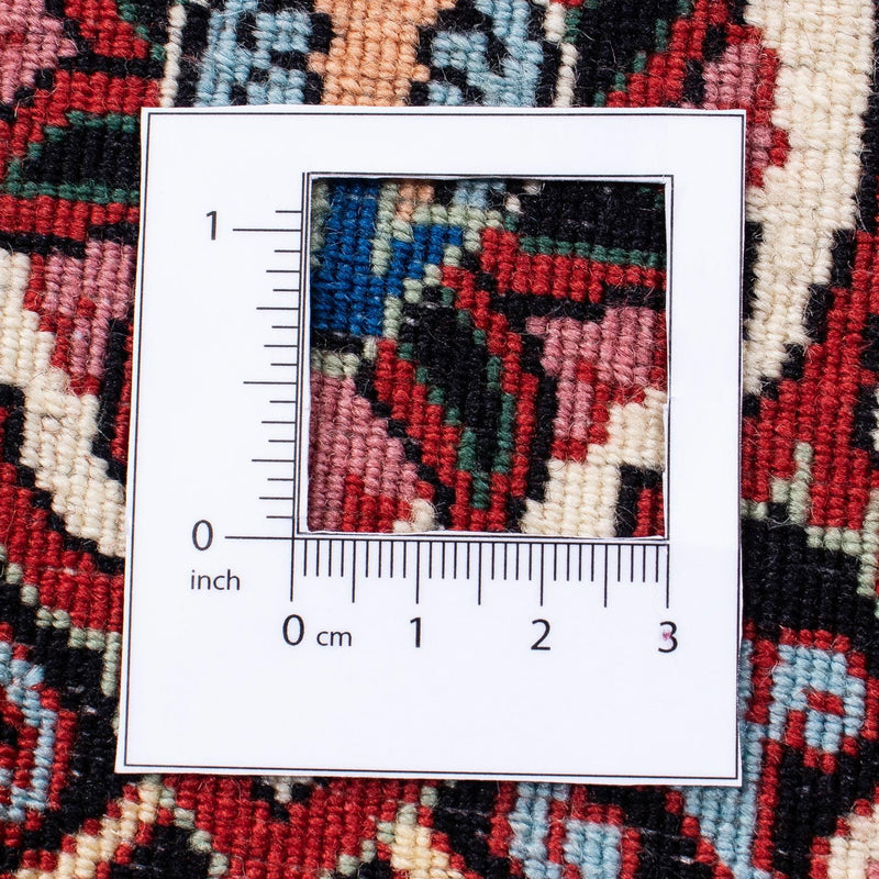 Bidjar Tapete 295x253cm - Tapete persa