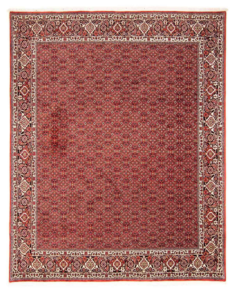Bidjar Tapete 290x250cm - Tapete persa