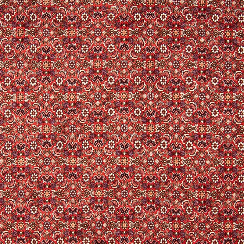 Bidjar Tapete 290x250cm - Tapete persa