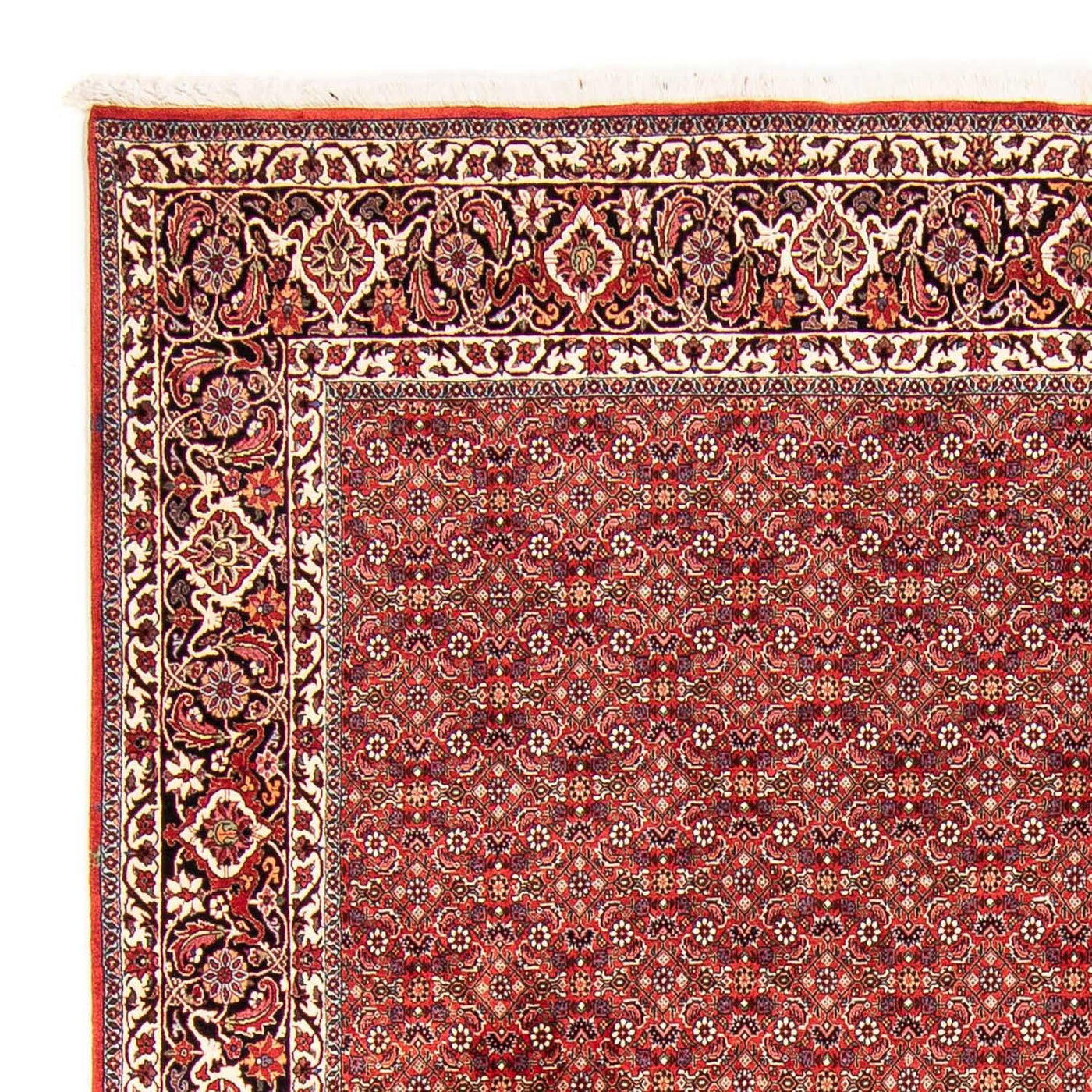 Bidjar Tapete 290x250cm - Tapete persa