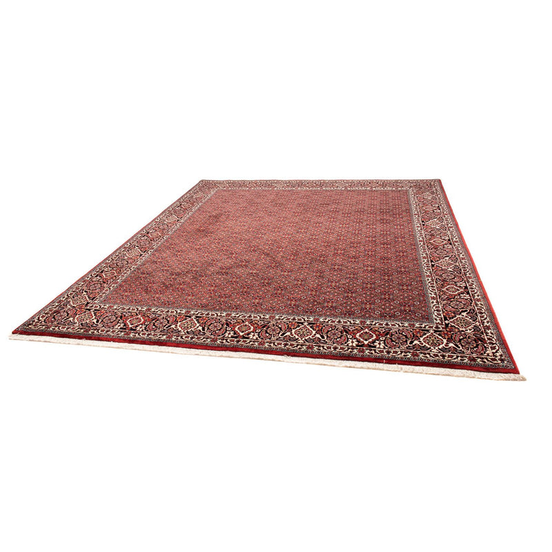 Bidjar Tapete 290x250cm - Tapete persa