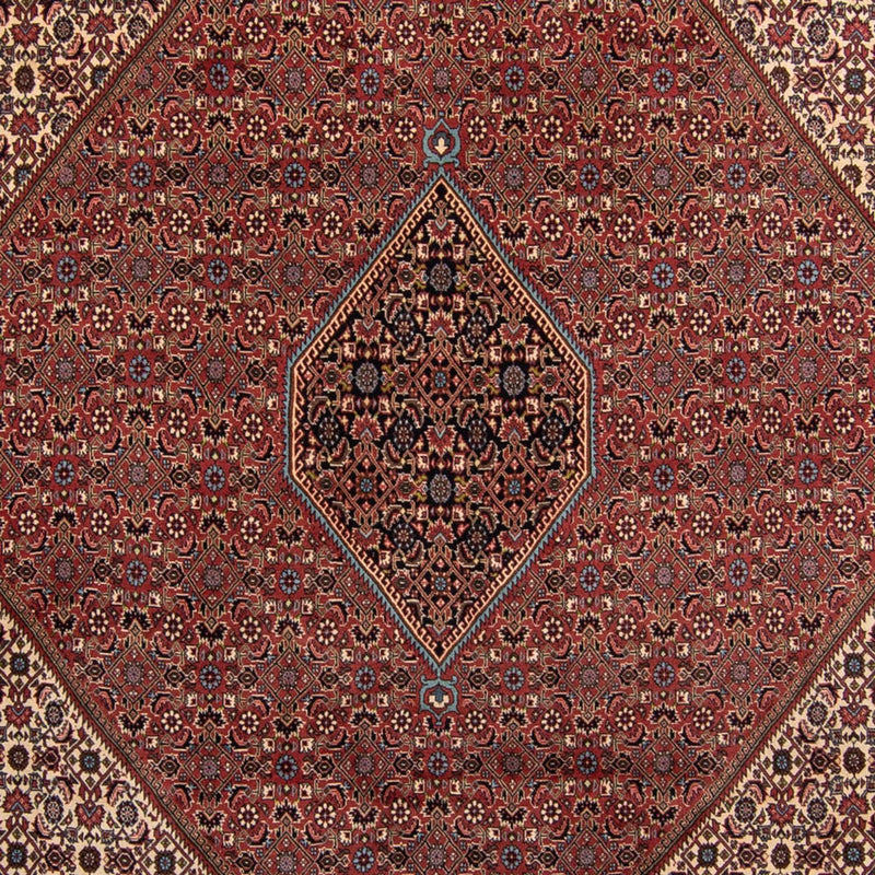 Bidjar Tapete 248x350cm - Tapete persa