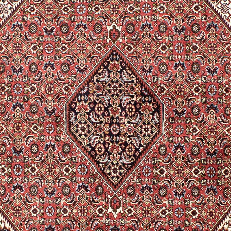 Tapete Persa - Bijar - 250 x 173 cm - vermelho claro