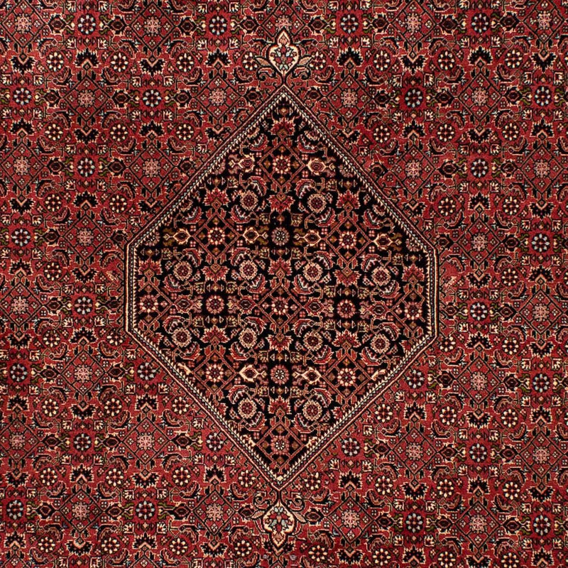 Bidjar Tapete 202x300cm - Tapete persa