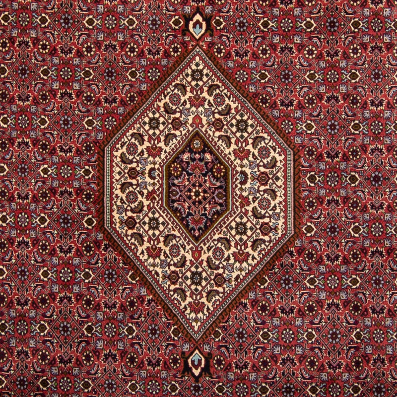 Bidjar Tapete 250x338cm - Tapete persa