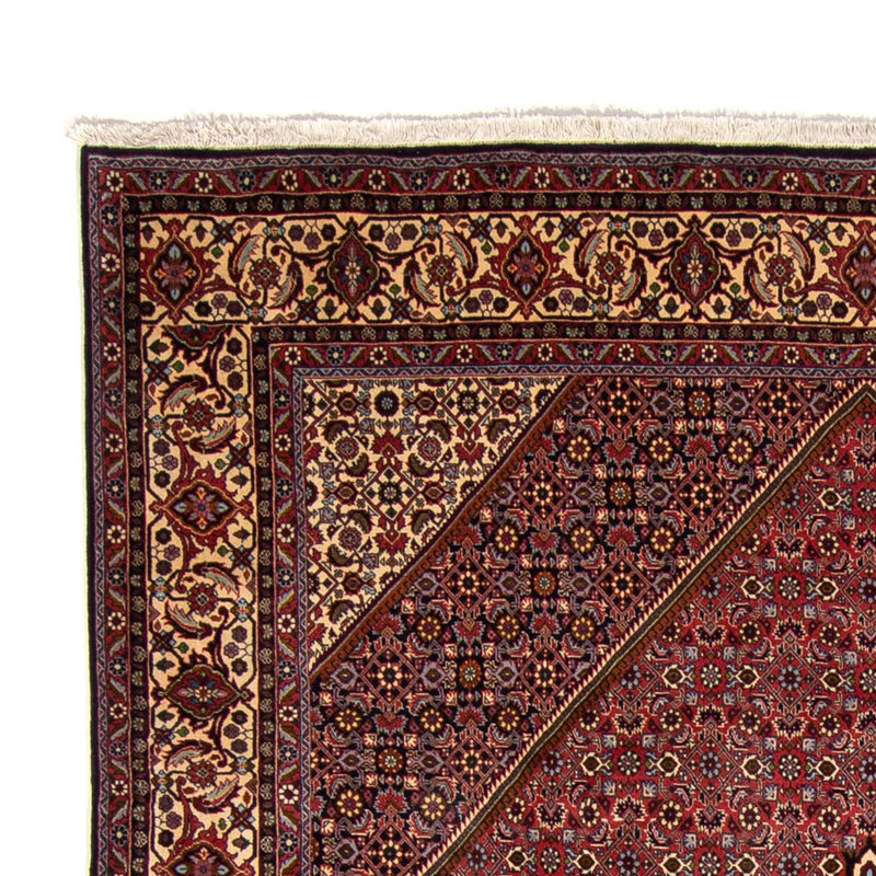 Bidjar Tapete 250x338cm - Tapete persa