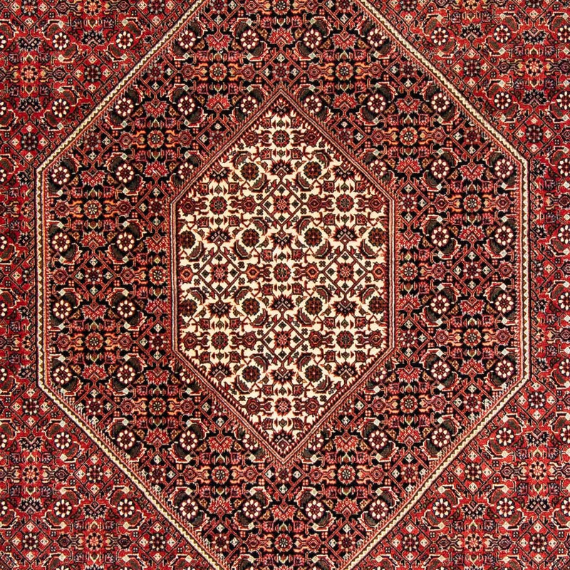 Tapete Persa - Bijar - 233 x 169 cm - vermelho escuro
