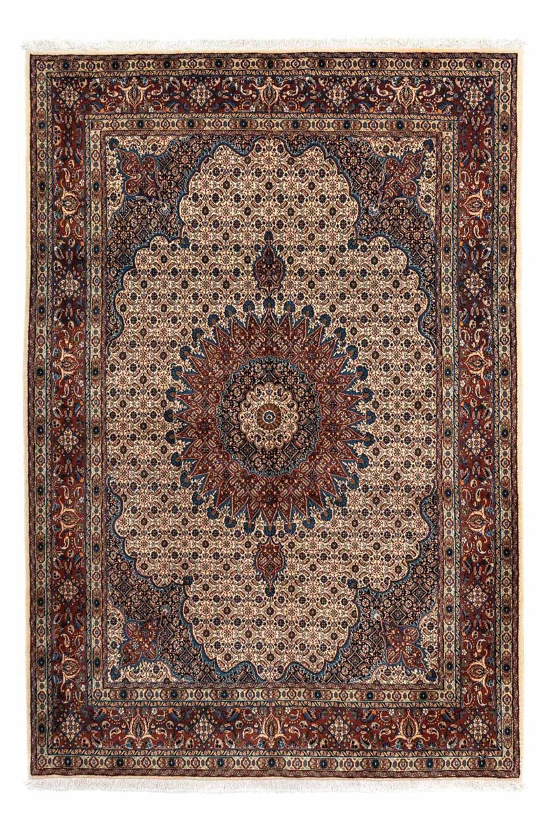 Moud Tapete 238x170cm - Tapete persa