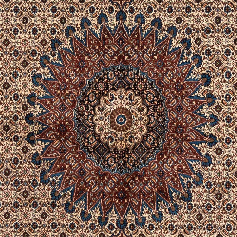 Moud Tapete 238x170cm - Tapete persa