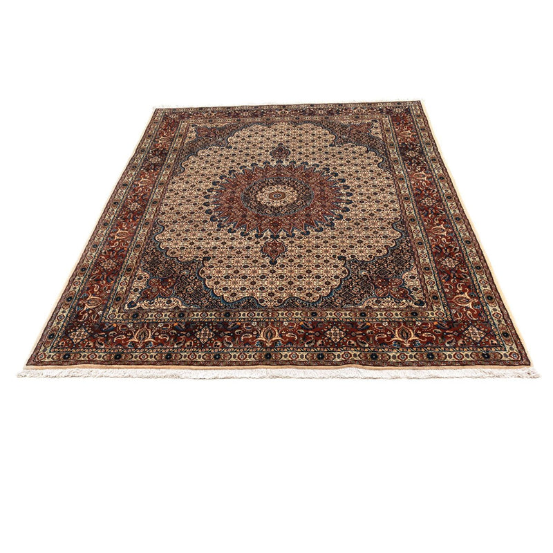 Moud Tapete 238x170cm - Tapete persa