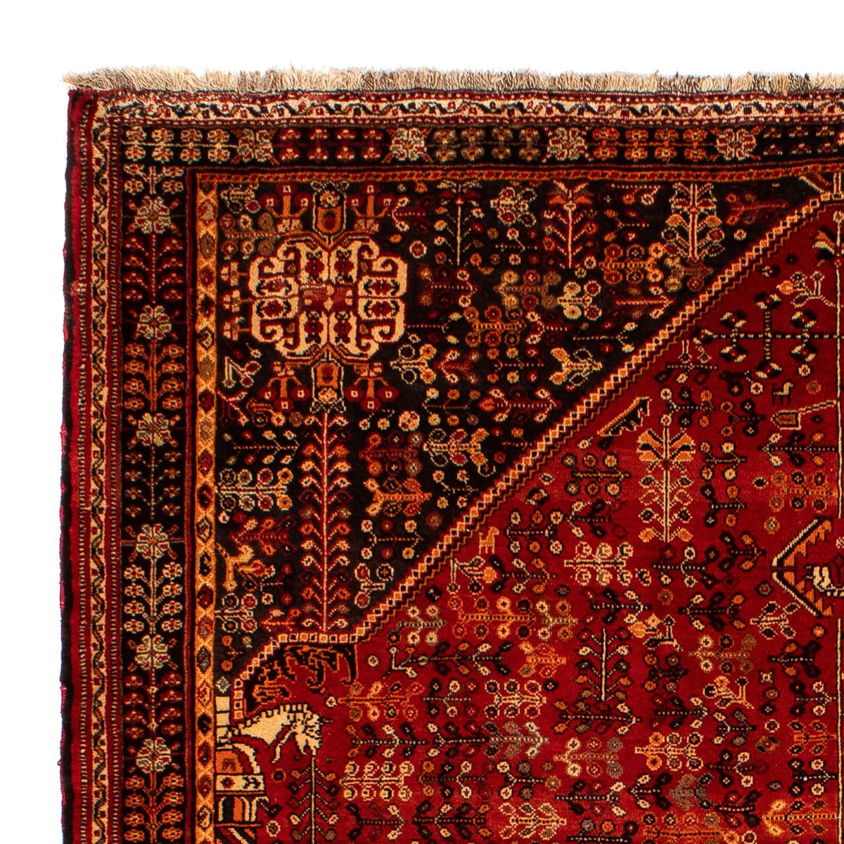 Qashqai Tapete 203x288cm - Tapete persa