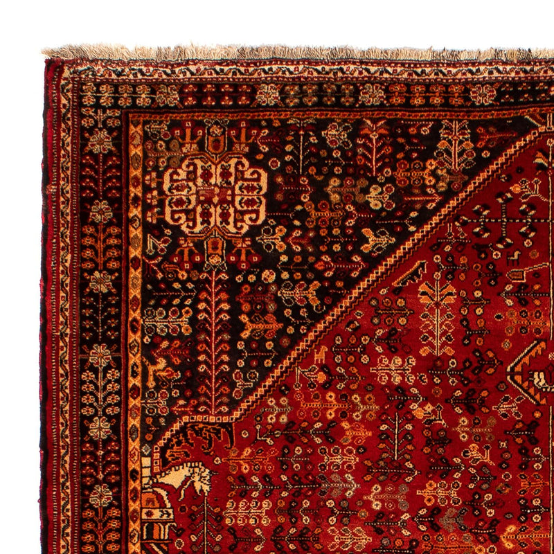 Qashqai Tapete 203x288cm - Tapete persa
