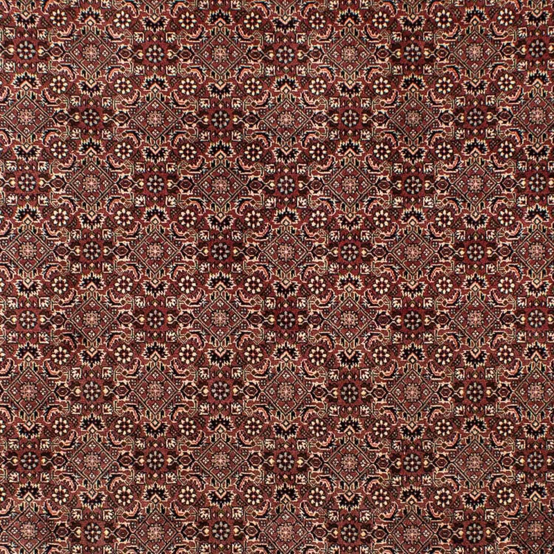 Qashqai Tapete 307x192cm - Tapete persa
